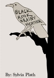 Black Rook in Rainy Weather (Sylvia Plath)