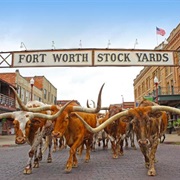 Fort Worth, Texas