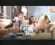 Like Cats and Dogs (TV Movie)