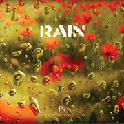 Freedom to Glide - Rain