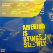 Various Artists - America Is Dying Slowly