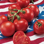 Fourth of July Tomato