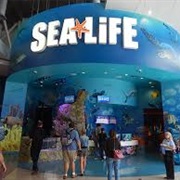 SEA LIFE Orlando Aquarium