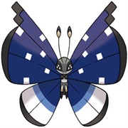 Vivillon (Polar Pattern)