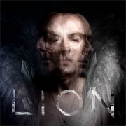 Peter Murphy- Lion