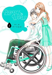 Perfect World Vol. 2 (Rie Aruga)