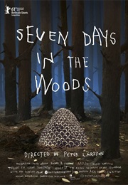 Seven Days in the Woods (2010)