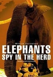 Elephants: Spy in the Herd (2003)