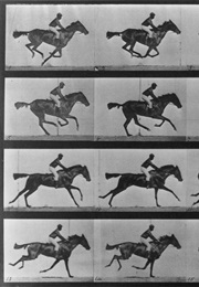 Sallie Gardner at a Gallop (1987) (1901)