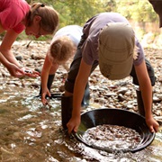 Gold Panning