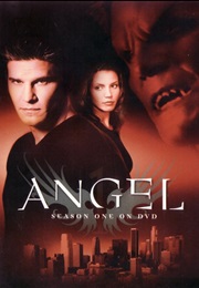 Angel (Season 1) (1999)