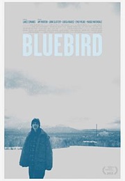 Bluebird (2013)