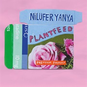 Plant Feed by Nilüfer Yanya