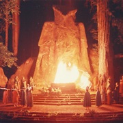 Bohemian Grove.