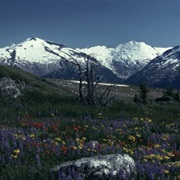 Whistler, British Columbia