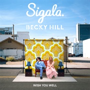 Wish You Well - Sigala &amp; Becky Hill