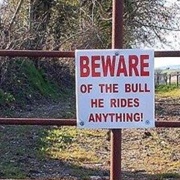 Beware of the Bull