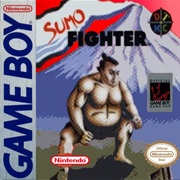 Sumo Fighter