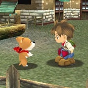 Harvest Moon: A Wonderful Life