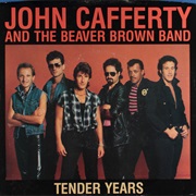 John Cafferty &amp; the Beaver Brown Band