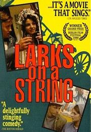 Larks on a String