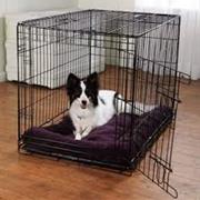 Pet Cages