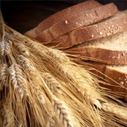 Common Wheat / Bread Wheat