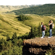 Cypress Hills Interprovincial Park