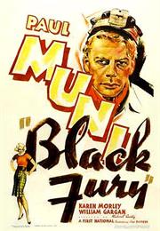 Black Fury (Michael Curtiz)