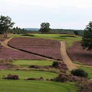 Hankley Common England