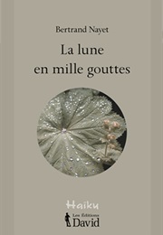 La Lune En Mille Gouttes (Bertrand Nayet)