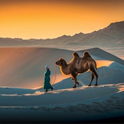 Gobi Desert