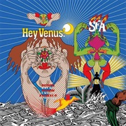 Super Furry Animals - Hey Venus!