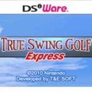 True Swing Golf Express