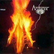 Princess of the Dawn - Accept