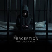 NF Perception