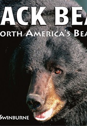 Black Bear: North America&#39;s Bear (Stephen R Swinburne)