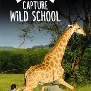 Capture Wild School