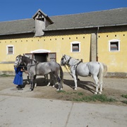 Kalocsa Hungary