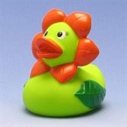 Flower Duckie