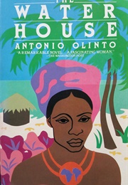 The Water House (Antonio Olinto)