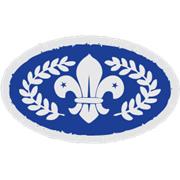 Chief Scout Silver Award