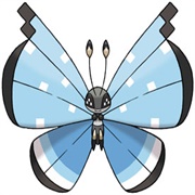 Vivillon (Tundra Pattern)