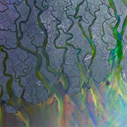 Tessellate - Alt-J