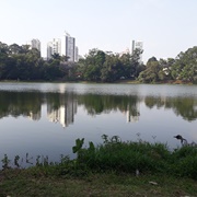 Parque Aclimação