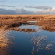 De Hoge Veluwe National Park, Netherlands