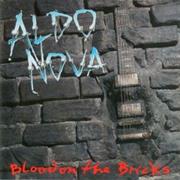 Aldo Nova - Blood on the Bricks