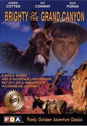 Brighty of the Grand Canyon (1967)