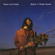 Break It Down Again - Tears for Fears