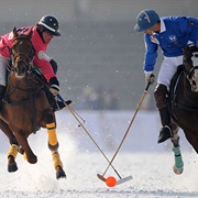 Snow Polo